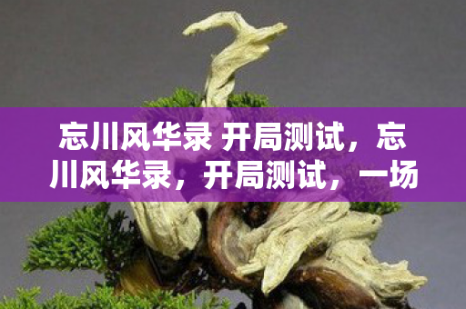 忘川风华录 开局测试图片