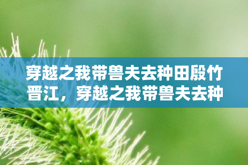 穿越之我带兽夫去种田殷竹晋江图片