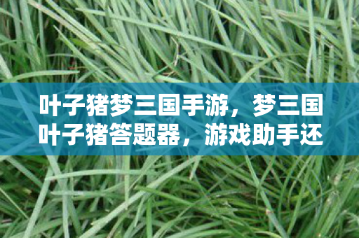 叶子猪梦三国手游，梦三国叶子猪答题器，游戏助手还是作弊工具？