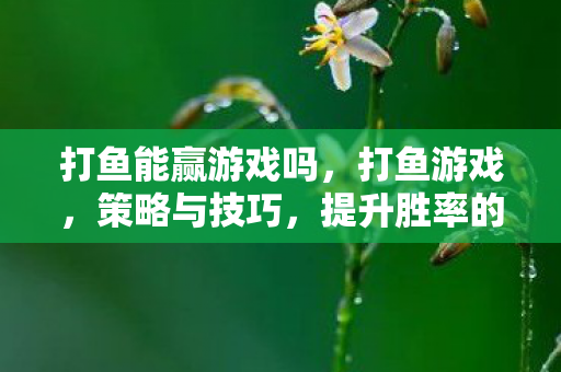 打鱼能赢游戏吗图片