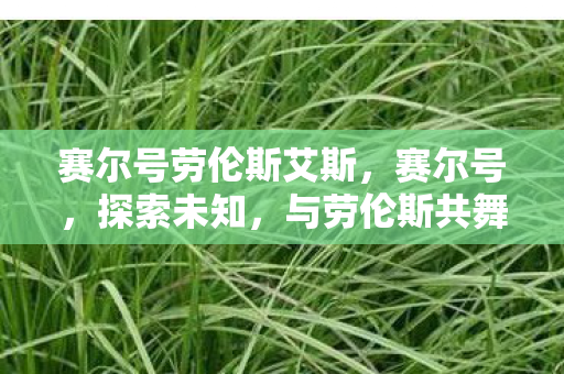 赛尔号劳伦斯艾斯图片