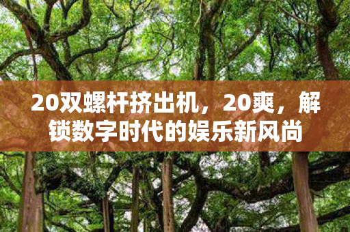 解锁数字时代的娱乐新风尚图片