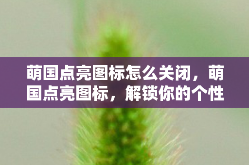 解锁你的个性化游戏世界图片