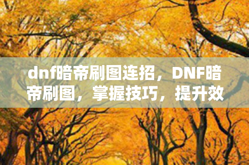 dnf暗帝刷图连招图片