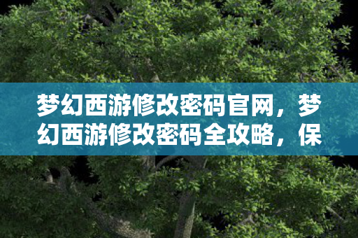 梦幻西游修改密码全攻略图片