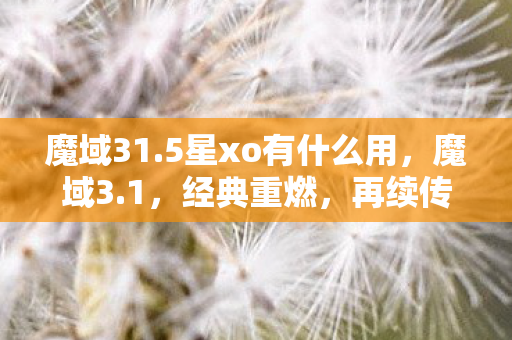 5星xo有什么用图片