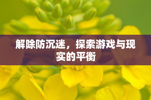 探索游戏与现实的平衡图片