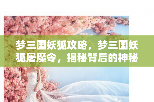 梦三国妖狐攻略，梦三国妖狐屠魔令，揭秘背后的神秘传说与真实历史