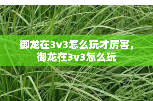 御龙在3v3怎么玩才厉害图片