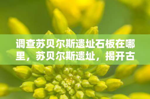 调查苏贝尔斯遗址石板在哪里图片