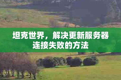 解决更新服务器连接失败的方法图片