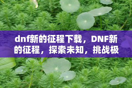 dnf新的征程下载图片