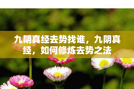 九阴真经去势找谁图片