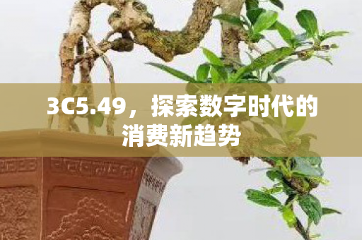 探索数字时代的消费新趋势图片