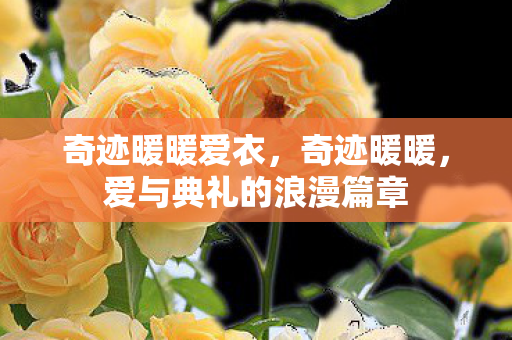 爱与典礼的浪漫篇章图片