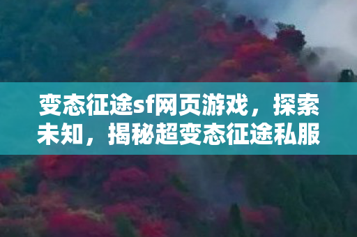 揭秘超变态征途私服背后的故事图片