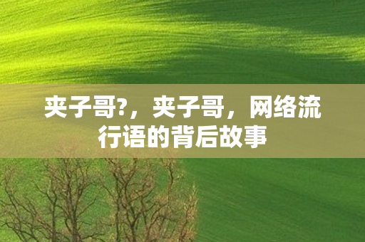 网络流行语的背后故事图片