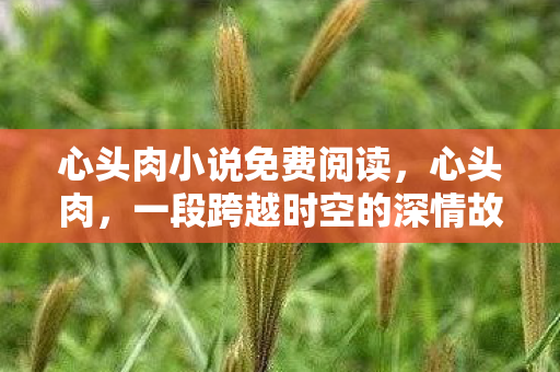 一段跨越时空的深情故事图片