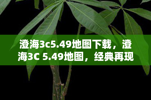 策略与激情的碰撞图片