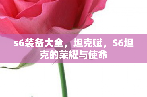 S6坦克的荣耀与使命图片