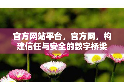 构建信任与安全的数字桥梁图片