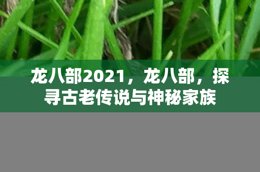 探寻古老传说与神秘家族图片