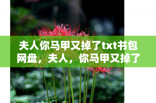 夫人你马甲又掉了txt书包网盘图片