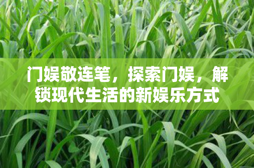 解锁现代生活的新娱乐方式图片