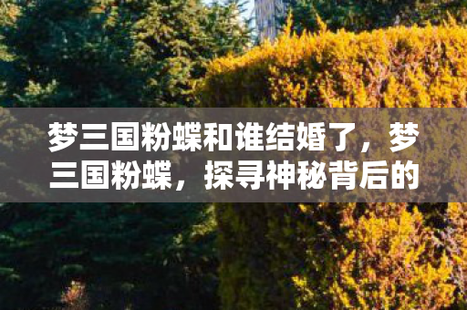 梦三国粉蝶和谁结婚了，梦三国粉蝶，探寻神秘背后的故事