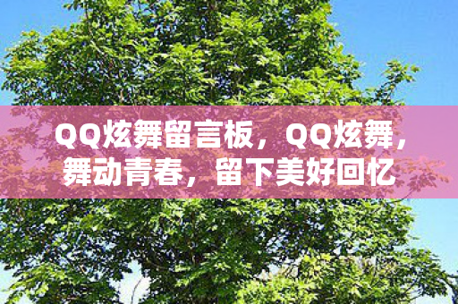 QQ炫舞留言板图片