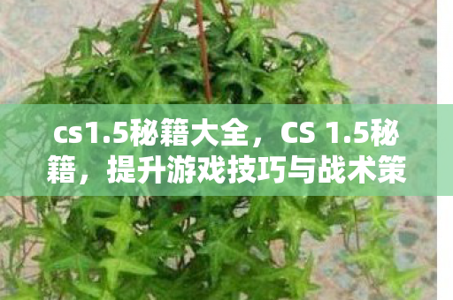 提升游戏技巧与战术策略图片