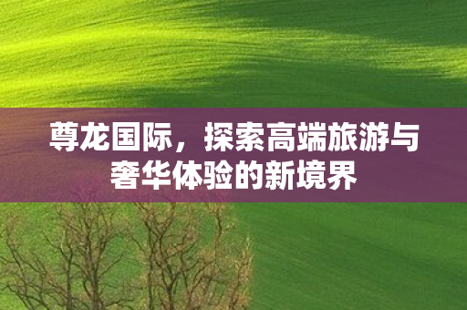 探索高端旅游与奢华体验的新境界图片