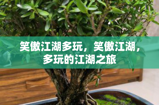 多玩的江湖之旅图片