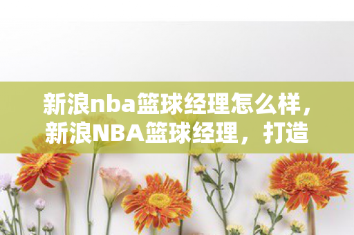 新浪nba篮球经理怎么样图片