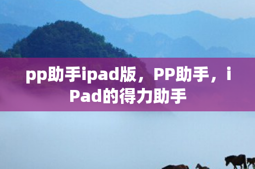 pp助手ipad版图片