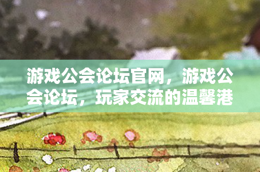 玩家交流的温馨港湾图片