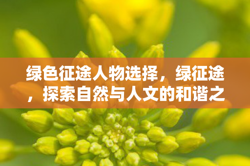 探索自然与人文的和谐之旅图片