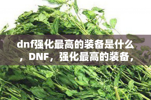 dnf强化最高的装备是什么图片