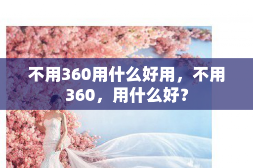 不用360用什么好用图片