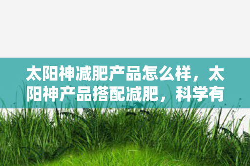 科学有效的健康减重方案图片