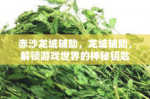 解锁游戏世界的神秘钥匙图片