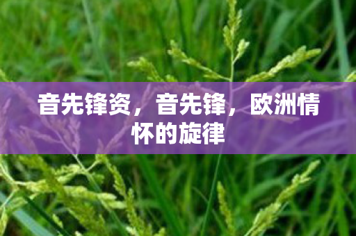 欧洲情怀的旋律图片