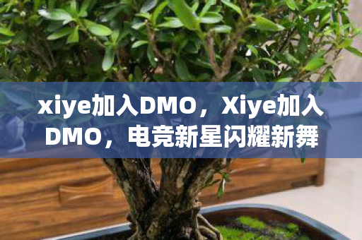 xiye加入DMO，Xiye加入DMO，电竞新星闪耀新舞台