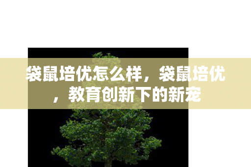 教育创新下的新宠图片