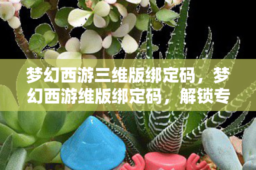 梦幻西游三维版绑定码，梦幻西游维版绑定码，解锁专属福利的秘籍