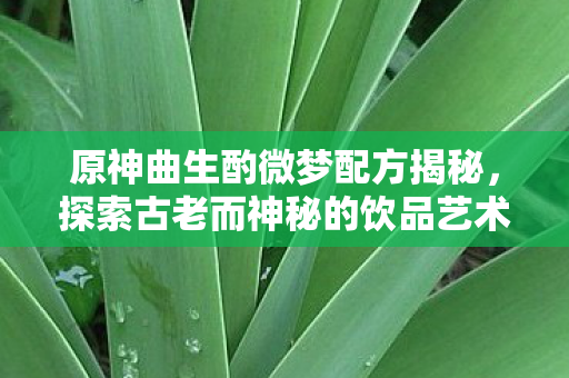 原神曲生酌微梦配方揭秘，探索古老而神秘的饮品艺术