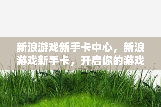 新浪游戏新手卡中心，新浪游戏新手卡，开启你的游戏人生新篇章