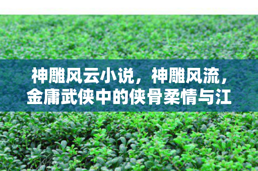 金庸武侠中的侠骨柔情与江湖传奇图片