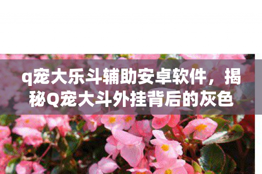 揭秘Q宠大斗外挂背后的灰色产业链图片