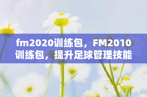 提升足球管理技能的有效工具图片